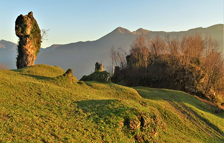 Monte Zucco (1232 m) ad anello in solitaria sui sentieri di casa (Zogno-300 m) 18nov闂????20 - FOTOGALLERY